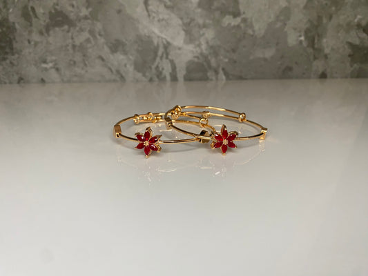 Bangle Pairs